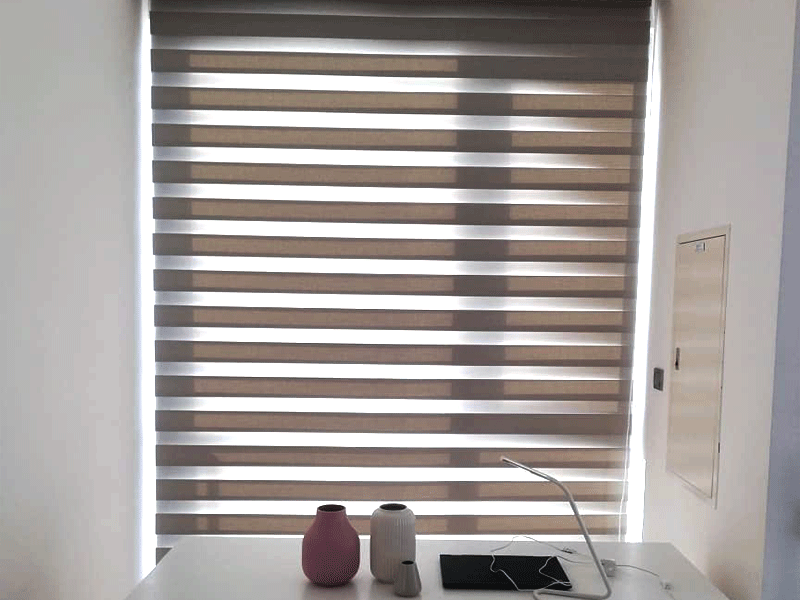 Zebra Blinds Sample