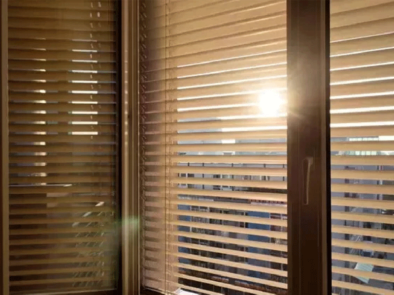 Venetian Blinds